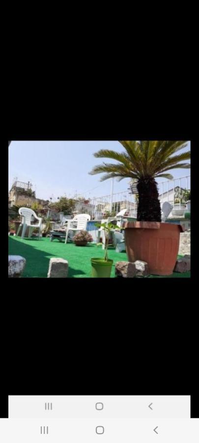 Affittacamere La Mansarda In Terrazza-napoli Centro Napoli