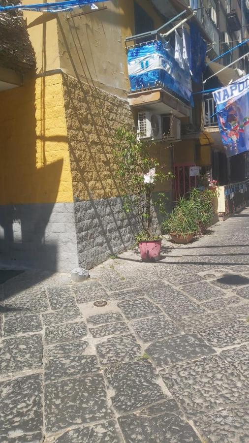 La Mansarda In Terrazza-napoli Centro Napoli